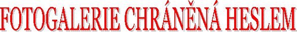 FOTOGALERIE CHRNN HESLEM
